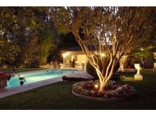 Landscape Lighting